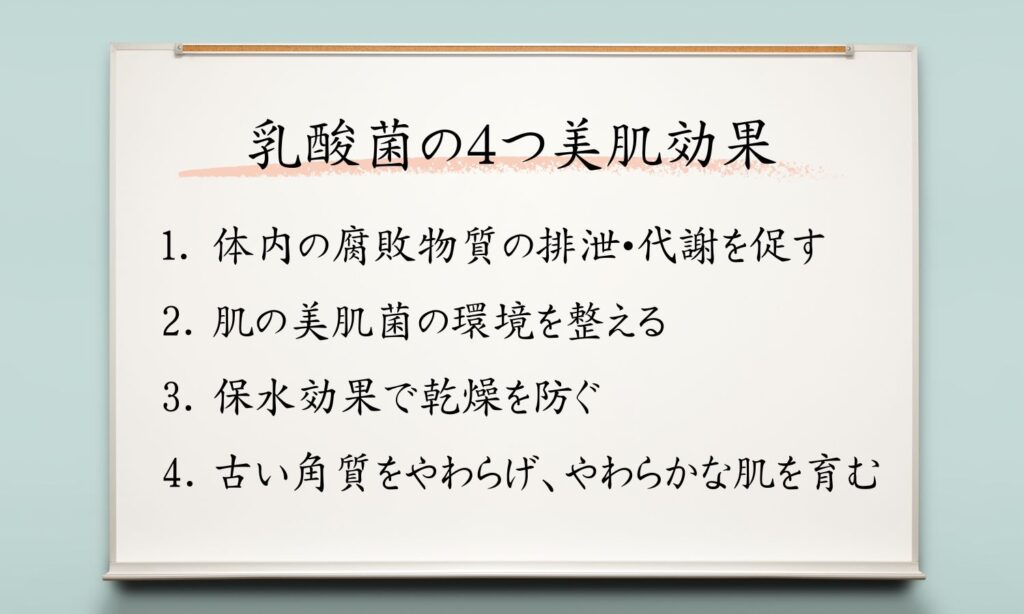 乳酸菌の４つの効能